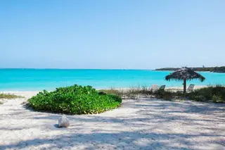 Paradise Bay 5