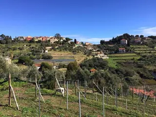 Agriturismo Uliveto Saglietto 3