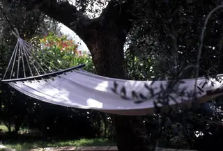 Agriturismo Uliveto Saglietto 5