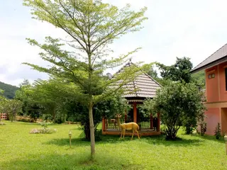 Maya Valley 5