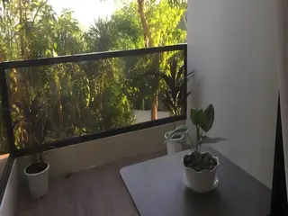 Bohol Ecotel 5