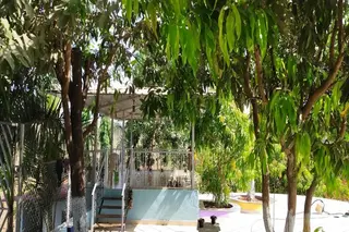 Campistaan Badlapur 3