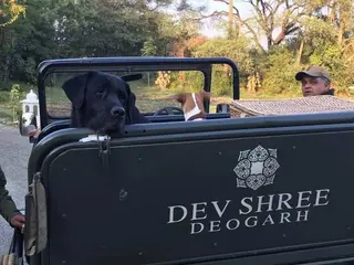 Dev Shree Luxury Hotel Deogarh 3