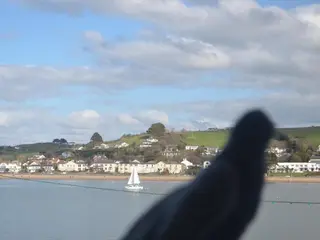 Appledore Factory 4