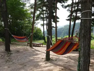 Sangju Yeoyurounhwangtojib Pensyeon 2