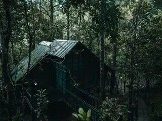 Ranches Jungle Beats 3