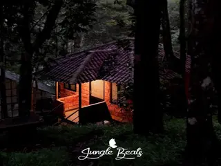 Ranches Jungle Beats 4