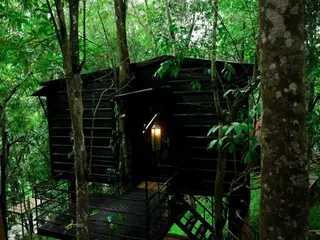 Ranches Jungle Beats 5