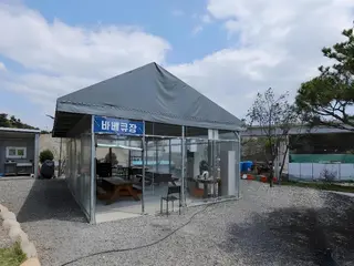 Samcheok Yonghwa Silkroad Pension 2