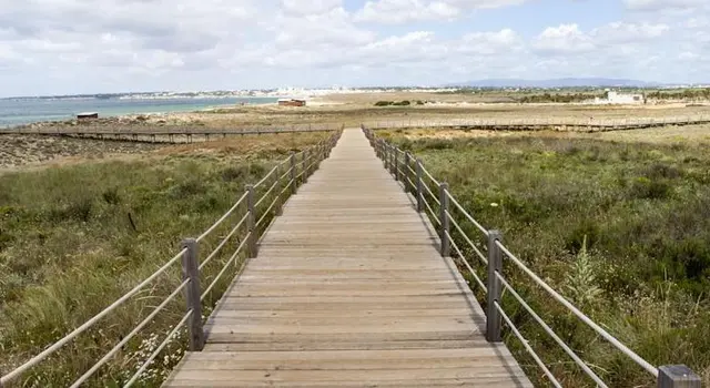 BaySide Salgados