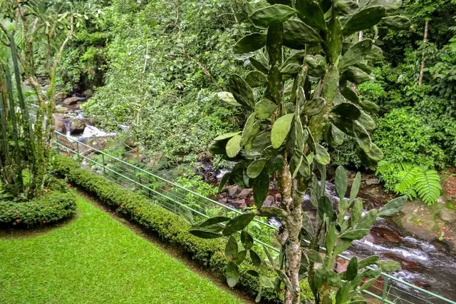 Hotel El Tucano Resort & Thermal Spa