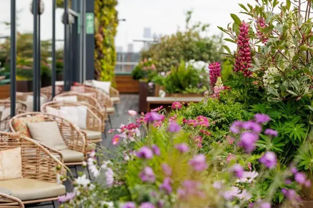 Treehouse Hotel London