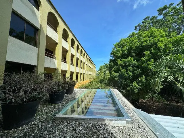 Hotel Casa Colonial Cozumel-Dog Friendly