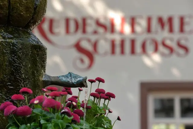 Rudesheimer Schloss