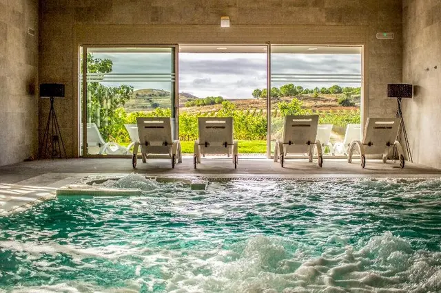 Tudanca Aranda Spa