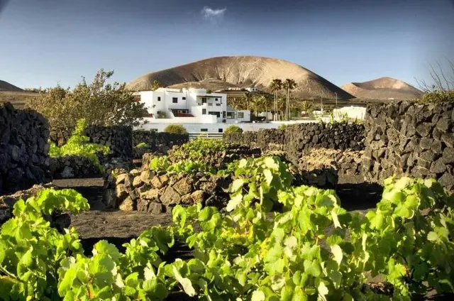 Finca La Florida