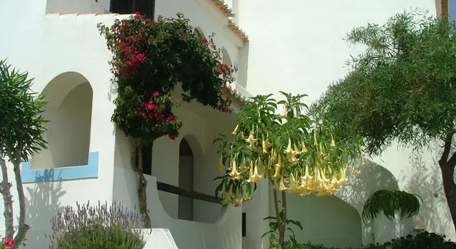 Turiquintas