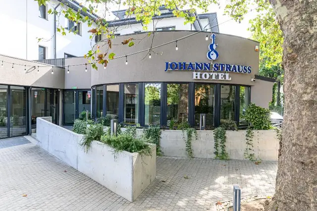 Johann Strauss