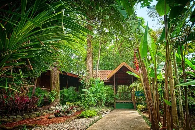Pachira Lodge