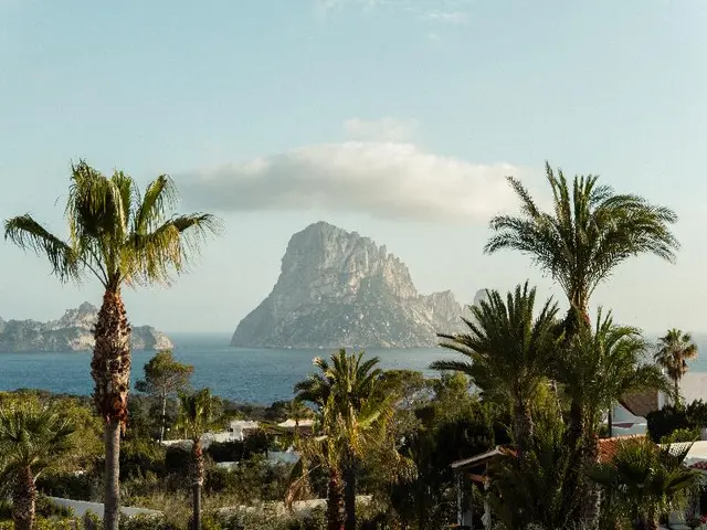 Petunia Ibiza - Adults Only