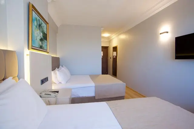Palette Grand Ant Hotel Istanbul