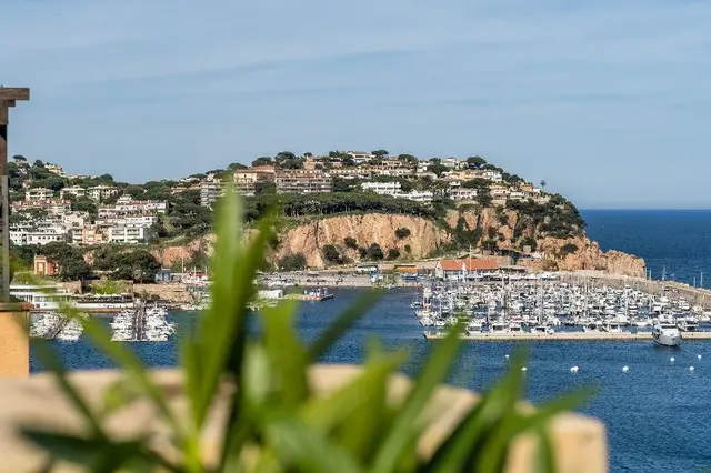Montjoi