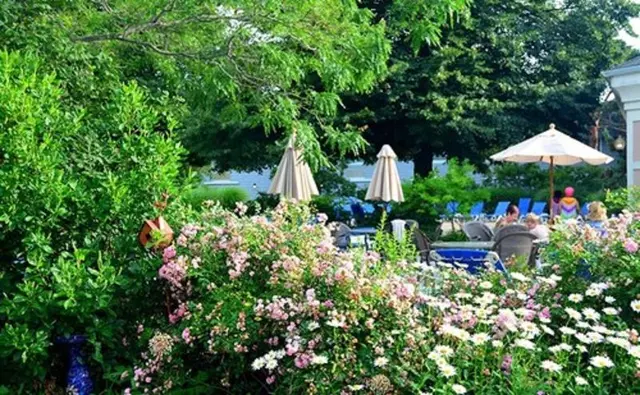 Cape Codder Resort & Spa