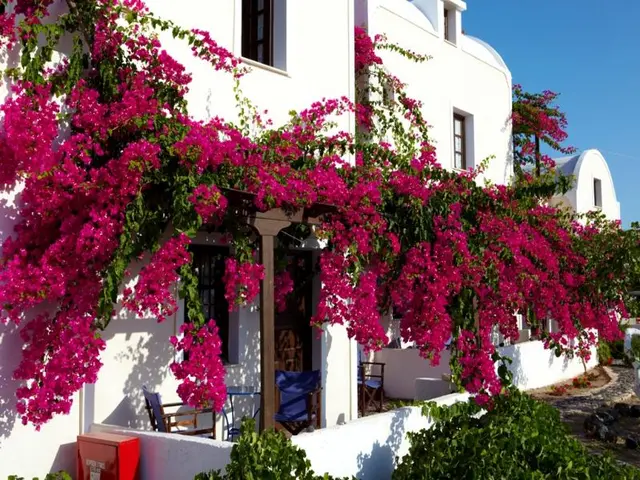 Anna Apartments