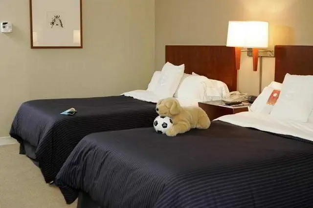 Sheraton Braintree