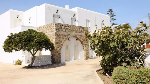 Peter's Studios