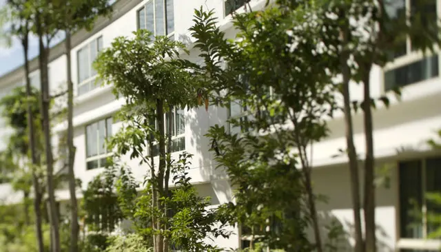 Amara Sanctuary Sentosa