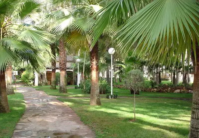 Resort Oasis