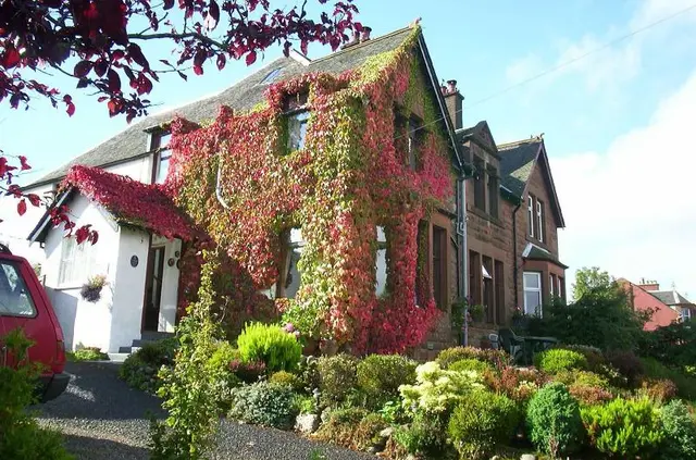 Belvedere Guest House 