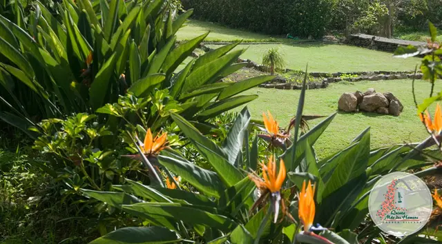 Quinta Mae Dos Homens Garden Village