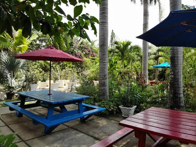 Negril Palms