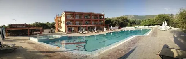 Zante Dolphin
