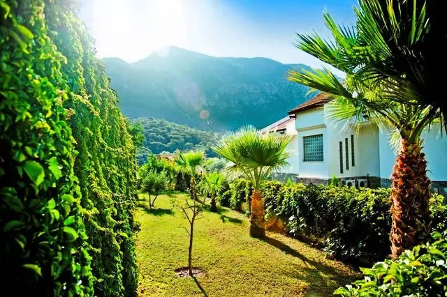 Azure Palm Suite