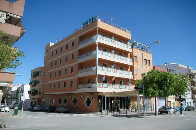 Torrezaf