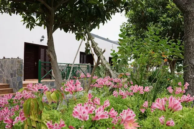 Finca Piñero