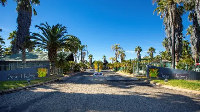 Desert Palms Alice Springs