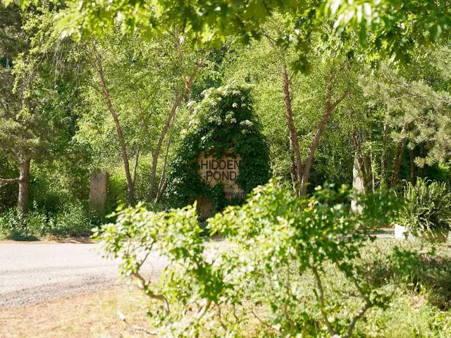 Hidden Pond