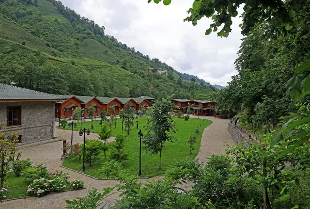 Teona Bungalov