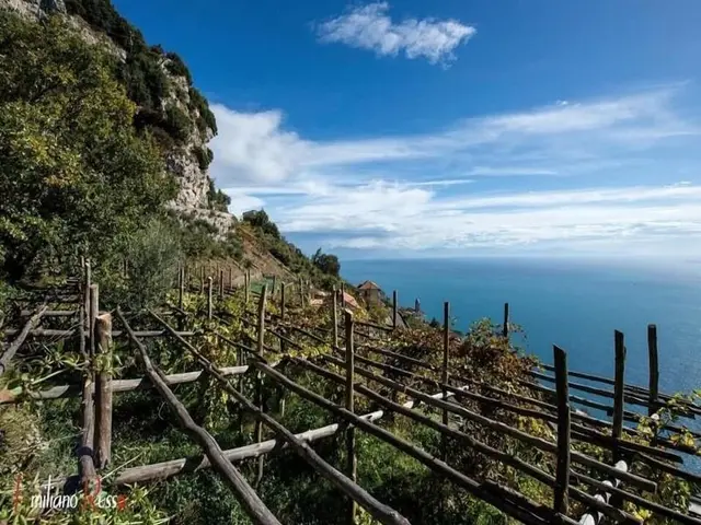 Albergo Dipinto Bacco Furore