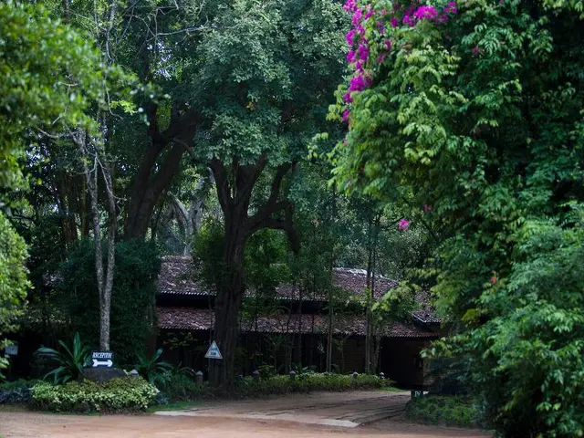 Hotel Sigiriya