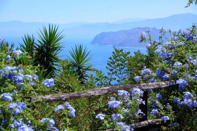 Santa Margherita