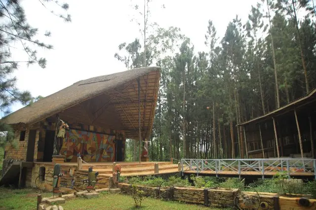 Nyungu Yamawe Forest Park
