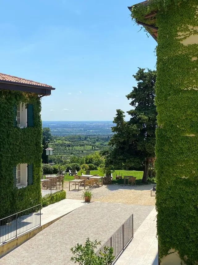 La Vineria