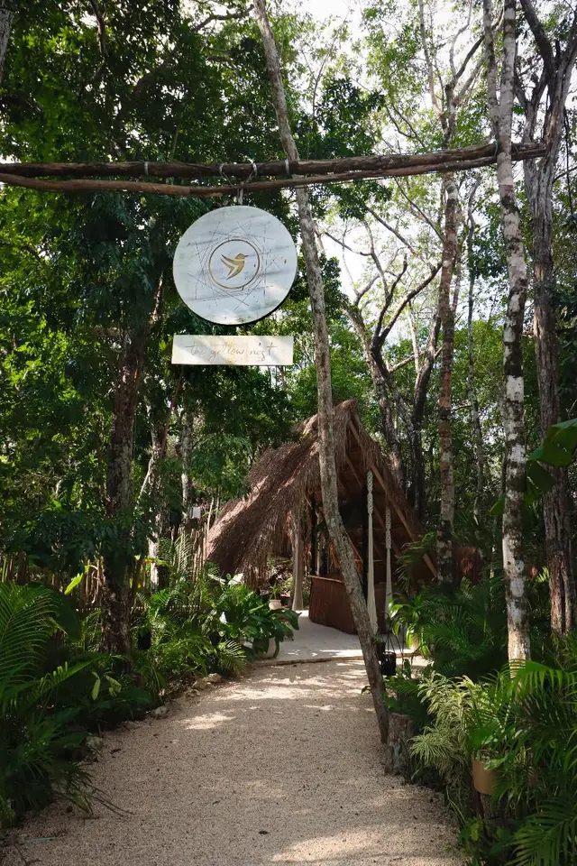 The Yellow Nest