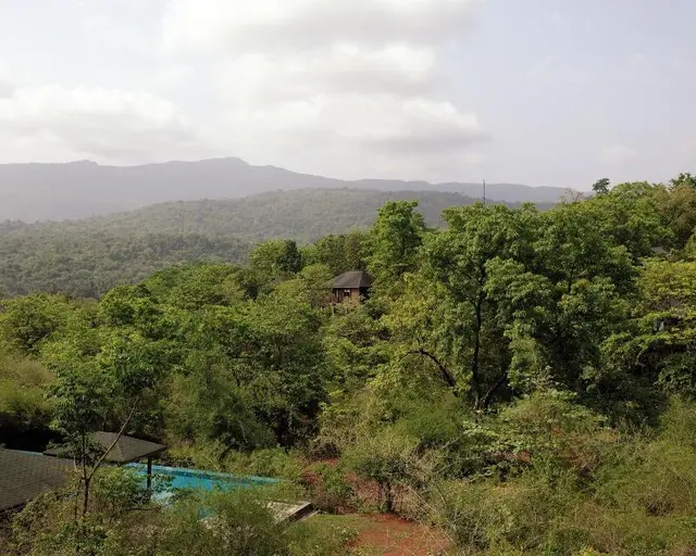 The Postcard Hideaway, Netravali