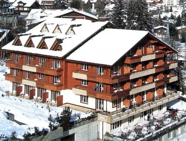 Steinmattli Hotel